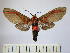  ( - BEVI0610)  @15 [ ] Copyright (2010) Unspecified Research Collection of Benoit Vincent