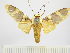  ( - BEVI0733)  @13 [ ] Copyright (2010) Unspecified Research Collection of Benoit Vincent