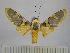  ( - BEVI0737)  @13 [ ] Copyright (2010) Unspecified Research Collection of Benoit Vincent