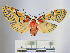  ( - BEVI0755)  @14 [ ] Copyright (2010) Unspecified Research Collection of Benoit Vincent
