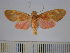  ( - BEVI0810)  @11 [ ] Copyright (2010) Unspecified Research Collection of Benoit Vincent
