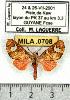  ( - MILA 0708)  @13 [ ] Copyright (2010) Unspecified Research Collection of Michel Laguerre