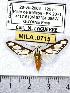  ( - MILA 0715)  @13 [ ] Copyright (2010) Unspecified Research Collection of Michel Laguerre