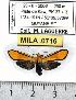  ( - MILA 0716)  @13 [ ] Copyright (2010) Unspecified Research Collection of Michel Laguerre