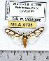 ( - MILA 0725)  @13 [ ] Copyright (2010) Unspecified Research Collection of Michel Laguerre