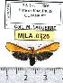 ( - MILA 0726)  @13 [ ] Copyright (2010) Unspecified Research Collection of Michel Laguerre