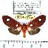  ( - MILA 0730)  @13 [ ] Copyright (2010) Unspecified Research Collection of Michel Laguerre