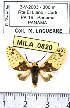 ( - MILA 0820)  @14 [ ] Copyright (2010) Unspecified Research Collection of Michel Laguerre