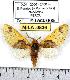  ( - MILA 0836)  @13 [ ] Copyright (2010) Unspecified Research Collection of Michel Laguerre