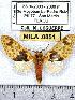  ( - MILA 0851)  @13 [ ] Copyright (2010) Unspecified Research Collection of Michel Laguerre