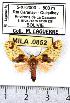  ( - MILA 0852)  @12 [ ] Copyright (2010) Unspecified Research Collection of Michel Laguerre