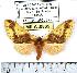  ( - MILA 0865)  @14 [ ] Copyright (2010) Unspecified Research Collection of Michel Laguerre