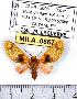  ( - MILA 0867)  @13 [ ] Copyright (2010) Unspecified Research Collection of Michel Laguerre