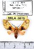  ( - MILA 0875)  @13 [ ] Copyright (2010) Unspecified Research Collection of Michel Laguerre