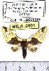  ( - MILA 0901)  @13 [ ] Copyright (2010) Unspecified Research Collection of Michel Laguerre