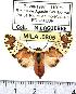  ( - MILA 0905)  @11 [ ] Copyright (2010) Unspecified Research Collection of Michel Laguerre
