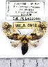  ( - MILA 0912)  @14 [ ] Copyright (2010) Unspecified Research Collection of Michel Laguerre