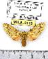  ( - MILA 0913)  @14 [ ] Copyright (2010) Unspecified Research Collection of Michel Laguerre