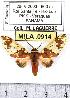  ( - MILA 0914)  @13 [ ] Copyright (2010) Unspecified Research Collection of Michel Laguerre