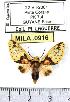  ( - MILA 0916)  @11 [ ] Copyright (2010) Unspecified Research Collection of Michel Laguerre