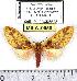  ( - MILA 0950)  @13 [ ] Copyright (2010) Unspecified Research Collection of Michel Laguerre