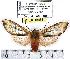  ( - MILA 0951)  @14 [ ] Copyright (2010) Unspecified Research Collection of Michel Laguerre