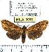  ( - MILA 0955)  @13 [ ] Copyright (2010) Unspecified Research Collection of Michel Laguerre