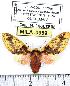  ( - MILA 0959)  @13 [ ] Copyright (2010) Unspecified Research Collection of Michel Laguerre