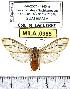 ( - MILA 0965)  @13 [ ] Copyright (2010) Unspecified Research Collection of Michel Laguerre