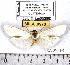  ( - MILA 0973)  @12 [ ] Copyright (2010) Unspecified Research Collection of Michel Laguerre