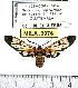  ( - MILA 0976)  @13 [ ] Copyright (2010) Unspecified Research Collection of Michel Laguerre