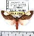  ( - MILA 0992)  @13 [ ] Copyright (2010) Unspecified Research Collection of Michel Laguerre
