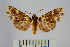  ( - BEVI0854)  @14 [ ] Copyright (2010) Unspecified The Research Collection of Benoit Vincent