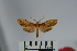  ( - BEVI0924)  @13 [ ] Copyright (2010) Unspecified The Research Collection of Benoit Vincent