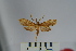  ( - BEVI0925)  @13 [ ] Copyright (2010) Unspecified The Research Collection of Benoit Vincent