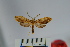  ( - BEVI0926)  @13 [ ] Copyright (2010) Unspecified The Research Collection of Benoit Vincent