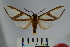  ( - BEVI0935)  @14 [ ] Copyright (2010) Unspecified The Research Collection of Benoit Vincent