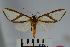  ( - BEVI0937)  @14 [ ] Copyright (2010) Unspecified The Research Collection of Benoit Vincent