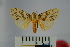 ( - BEVI0947)  @13 [ ] Copyright (2010) Unspecified The Research Collection of Benoit Vincent