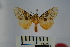  ( - BEVI0948)  @13 [ ] Copyright (2010) Unspecified The Research Collection of Benoit Vincent