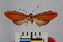  ( - BEVI0959)  @13 [ ] Copyright (2010) Unspecified The Research Collection of Benoit Vincent