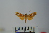  ( - BEVI1055)  @12 [ ] Copyright (2010) Unspecified The Research Collection of Benoit Vincent