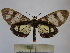  ( - BEVI1272)  @13 [ ] No Rights Reserved (2010) Benoit Vincent Research Institution of Benoit Vincent
