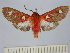  ( - BEVI1324)  @14 [ ] No Rights Reserved (2010) Benoit Vincent Research Collection of Benoit Vincent