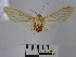  ( - BEVI1375)  @13 [ ] No Rights Reserved (2010) Benoit Vincent Research Collection of Benoit Vincent