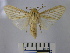  ( - BEVI1376)  @14 [ ] No Rights Reserved (2010) Benoit Vincent Research Collection of Benoit Vincent