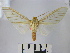  ( - BEVI1378)  @14 [ ] No Rights Reserved (2010) Benoit Vincent Research Collection of Benoit Vincent