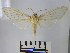  ( - BEVI1380)  @13 [ ] No Rights Reserved (2010) Benoit Vincent Research Collection of Benoit Vincent