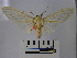  ( - BEVI1381)  @13 [ ] No Rights Reserved (2010) Benoit Vincent Research Collection of Benoit Vincent