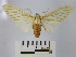 ( - BEVI1383)  @14 [ ] No Rights Reserved (2010) Benoit Vincent Research Collection of Benoit Vincent